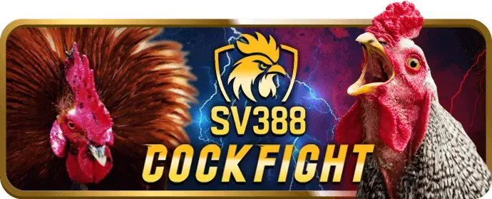 Chương trình VIP đá gà 88clup.com